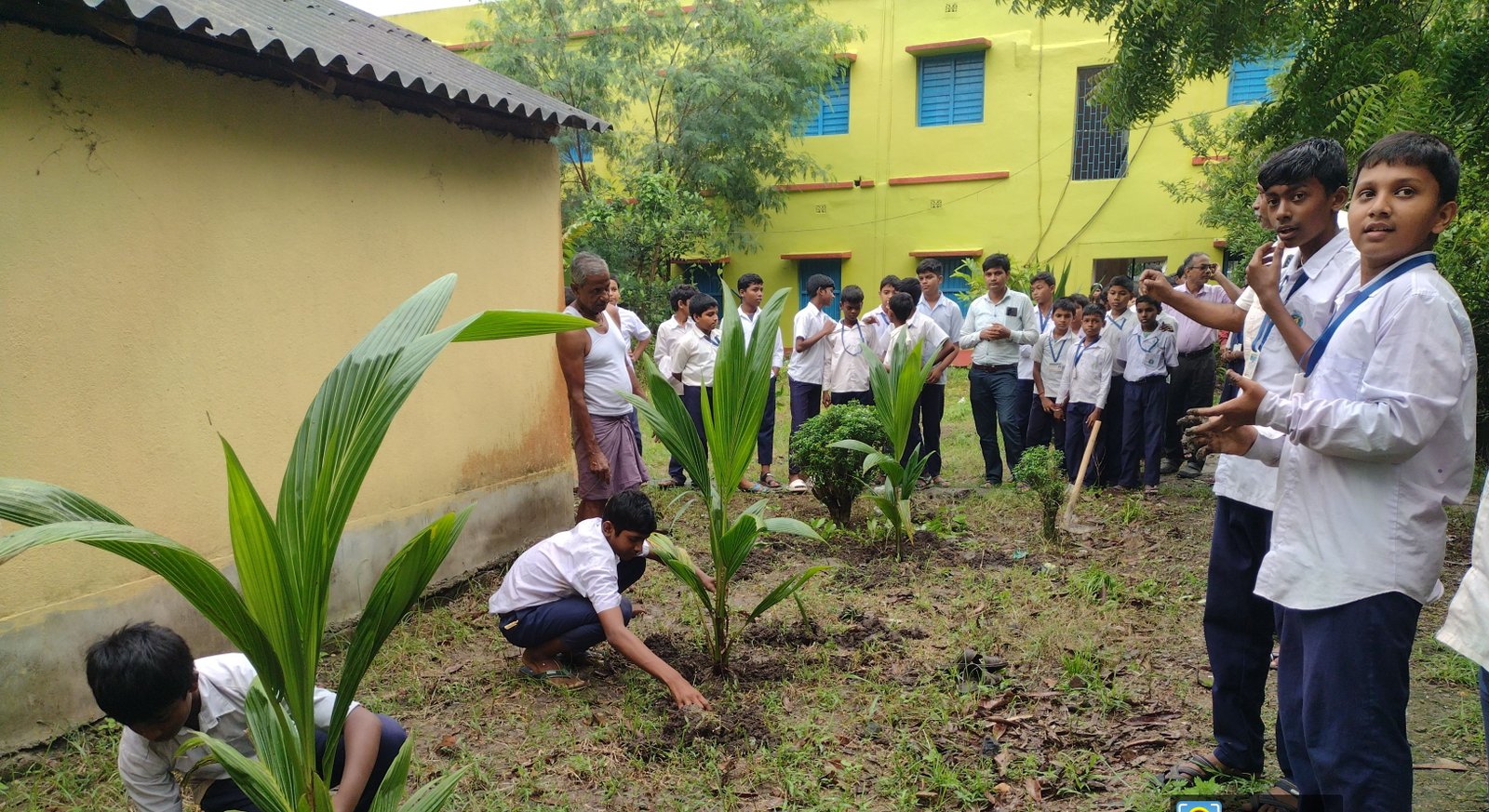 Students planting trees as part of an environmental activity